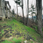Abbortsford-2