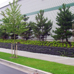 Canadian-Tire-4