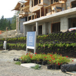 Tiered Walls-1