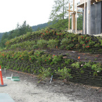 Tiered Walls-4
