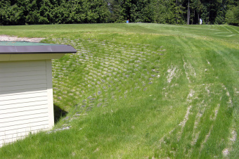 Erosion Control & Slope Stabilization