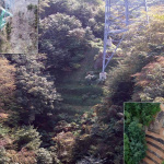 erosion-control-slope-005