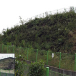 erosion-control-slope-006