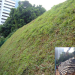 erosion-control-slope-008