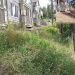 erosion-control-slope-010