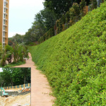 green-construction-002