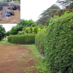 green-construction-003