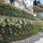green-construction-004