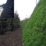 retaining-wall-007