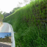 retaining-wall-011