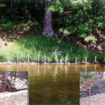 shoreline-streambank-008